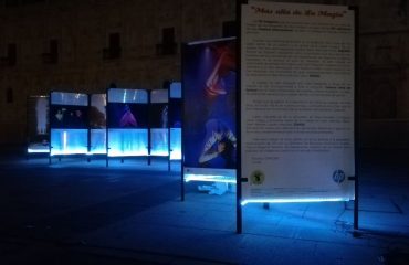 Colaboración de HP con la exposición sobre el Festival de Magia de León