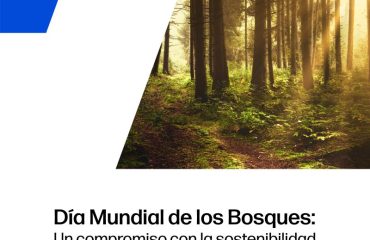 Portada del Día Mundial de los Bosques Portada que ilustra el artículo con una fotografía de un bosque y las 'stripes' corporativas de HP.